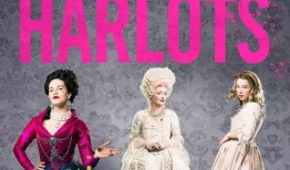 名姝 在线观看,揭秘19世纪巴黎风月场所的传奇人生